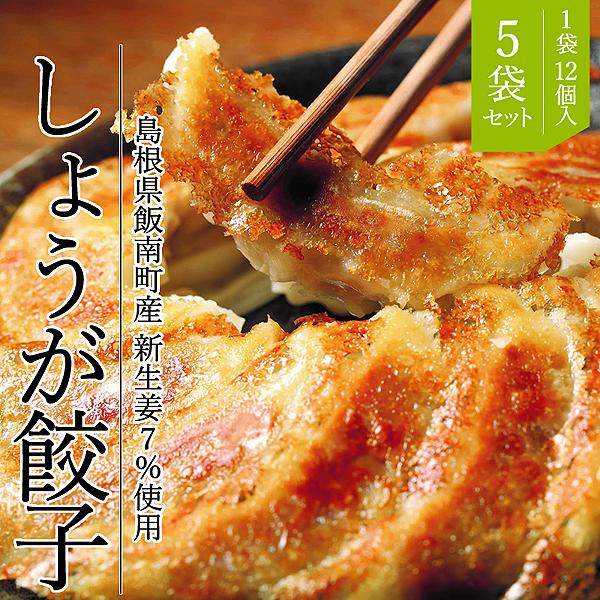 島根県産 しょうが餃子 5パックセット 新しょうがを7％使用！ ニンニク不使用！ 生姜餃子 冷凍餃子 島根県飯南町 新生姜