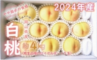 岡山県産 白桃（晩生種） 最高ランク！ロイヤル約4kg 8～15玉（令和６年8月以降発送）