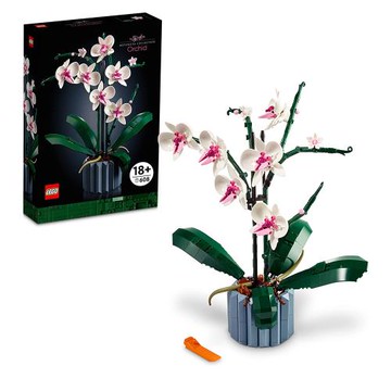 樂高 LEGO 積木 創意系列 Creator Expert 蘭花 10311W