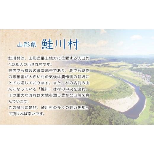 ＜令和5年産＞ 鮭川村産 はえぬき  定期便 30kg （10kg×1ヶ月間隔で3回お届け）