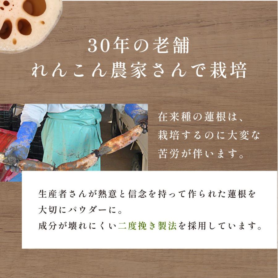 れんこんパウダー 風土日和 210g（70gx3袋） 国産 無農薬 粉末 離乳食 食物繊維 レンコン パウダー ヨーグルト 熊本県産 蓮根粉 料理