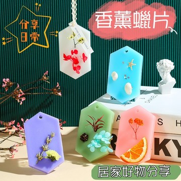 持久香氣 居家香氛掛飾【酒窩購物】乾燥花果 擴香蠟片  車用掛香 衣櫃芳香劑 居家佈置 氣圍營造 手工香氛