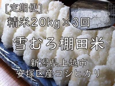 雪むろ棚田米コシヒカリ20kg精白米[定期便]毎月発送(計3回)