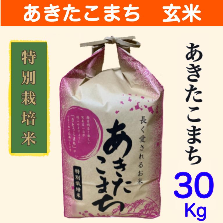 特別栽培米  玄米30kg 秋田県大潟村産　あきたこまち玄米３０kg（１０kg×３）令和5年産　農家直送玄米30キロ　　送料無料