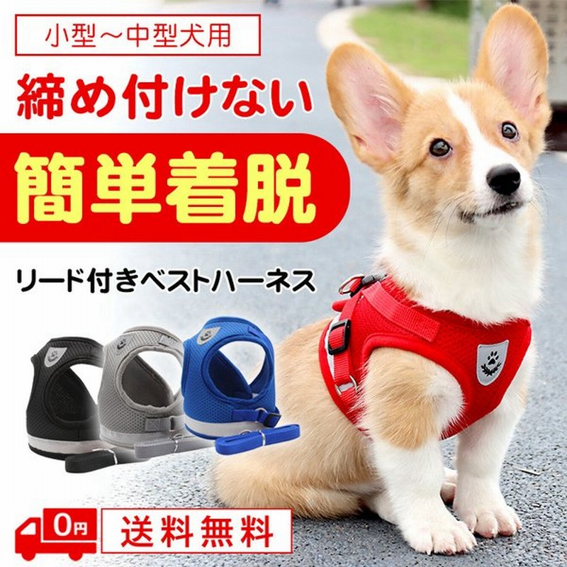犬 ハーネス リード 胴輪 首輪 おしゃれ 脱げない 小型犬 中型犬 超小型犬 ペット ハーネスベルト リード付き 痛くないハーネス 簡単装着 ハーネス6 y10 通販 LINEポイント最大GET | LINEショッピング 犬 ハーネス リード 胴輪 首輪 おしゃれ 脱げない 小型犬 中型犬 超小型犬 ペット ハーネスベルト リード付き 痛くないハーネス 簡単装着 ハーネス6 y10 通販 LINEポイント最大GET | LINEショッピング