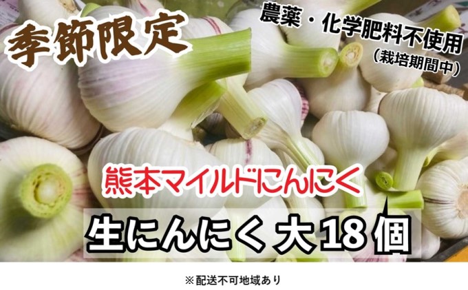 にんにく 2024年 発送 大玉 18個 錦町産 農薬・化学肥料 栽培期間中不使用！ 桑原農園 熊本 マイルド生にんにく 2Lサイズ 7cm以上 配送不可：離島