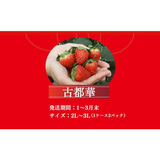 ふるさと納税 奈良県 平群町 平群の古都華 2L 〜 3L サイズ （2パック×1ケース） 2024年1月発送