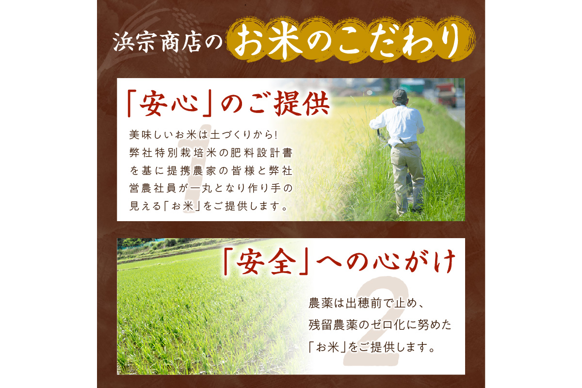 2023年産 京都・丹後コシヒカリ 無洗米 3kg  新米 こしひかり 浜宗商店　HM00004