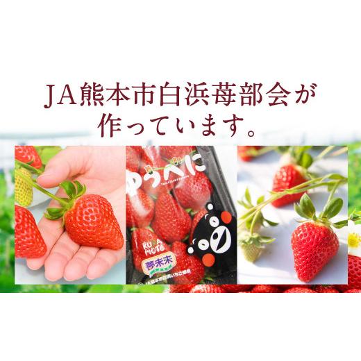 ふるさと納税 熊本県 熊本市  熊本産 ゆうべに 250g×10パック 計2.5kg いちご イチゴ 苺