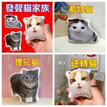 臺灣有貨⚡新款柏林貓咪之聲大局逆轉希特髮聲掛件德語小貓語音玩偶鑰匙扣、希特勒貓 德語小貓 鑰匙扣 附音樂 學生書包掛件