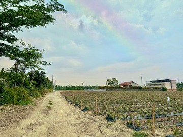 屏科大秘境壽比路農地(3.4分)｜屏東縣內埔鄉壽比段