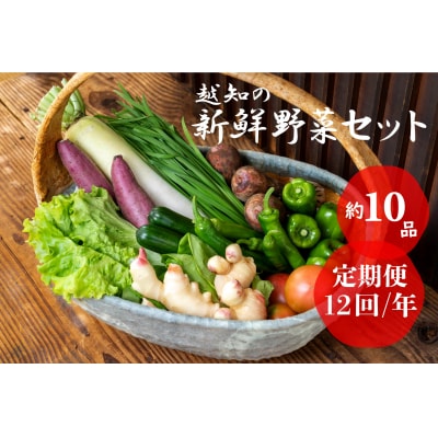 越知産市の季節の野菜セット(年12回発送)　産地直送　旬野菜