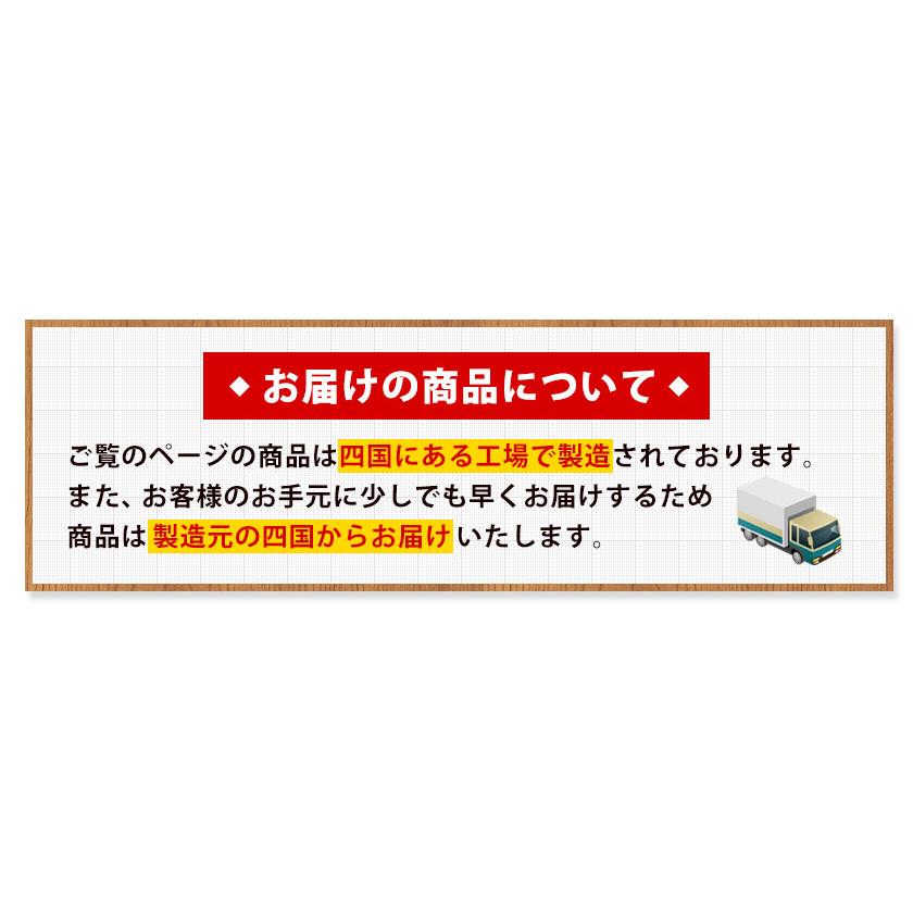 長崎ちゃんぽん たっぷり6食 2食×3袋 生麺 スープ 送料無料 麺 中華 7-14営業以内発送予定(土日祝除)