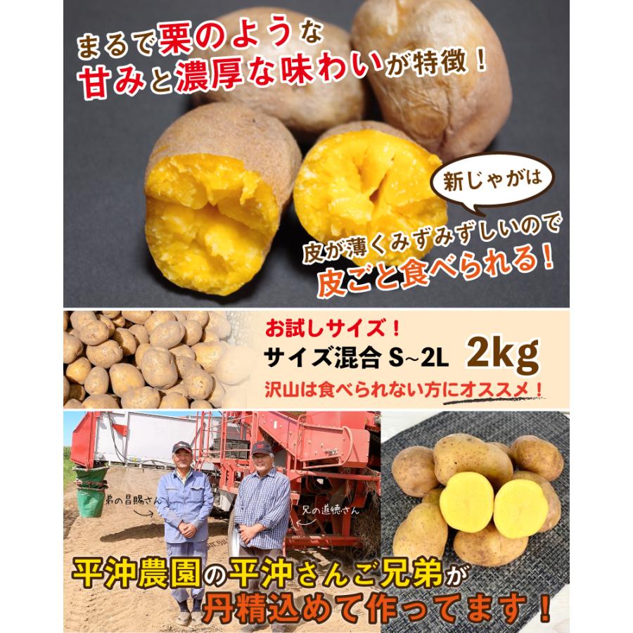 インカのめざめ 新じゃが 2kg S〜2Lサイズ混合 北海道 千歳産 じゃがいも ジャガイモ 送料無料 訳あり