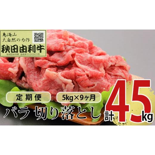 ふるさと納税 秋田県 にかほ市 《定期便》9ヶ月連続 秋田由利牛 バラ切り落とし 5kg（1kg×5パック）