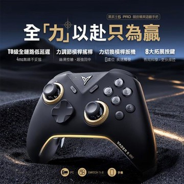 Flydigi飛智 黑武士5 PRO 競技精英手把 (國際版)