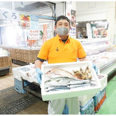 ふるさと納税 越前町 越前港直送　朝獲れお魚詰め合わせ　　　　4種類