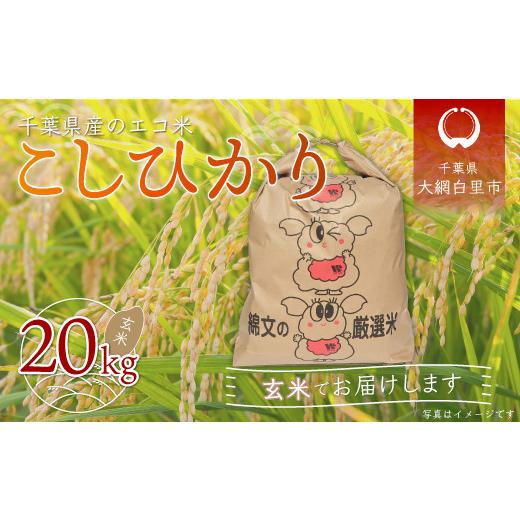 ふるさと納税 千葉県 大網白里市 令和5年産 千葉県産エコ米「コシヒカリ」玄米20kg（20kg×1袋） お米 20kg 千葉県産 大網白里市 コシヒカリ エコ米 …