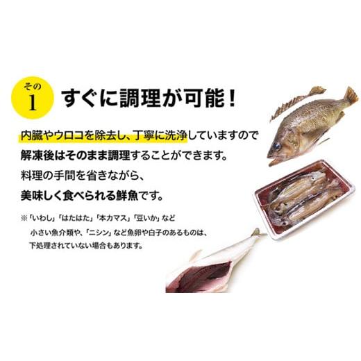 ふるさと納税 北海道 鹿部町 北海道産 冷凍鮮魚セット 最大3.2kg 「漁師応援プロジェクト！」 下処理済み 冷凍 鮮魚 海鮮 海産 地元