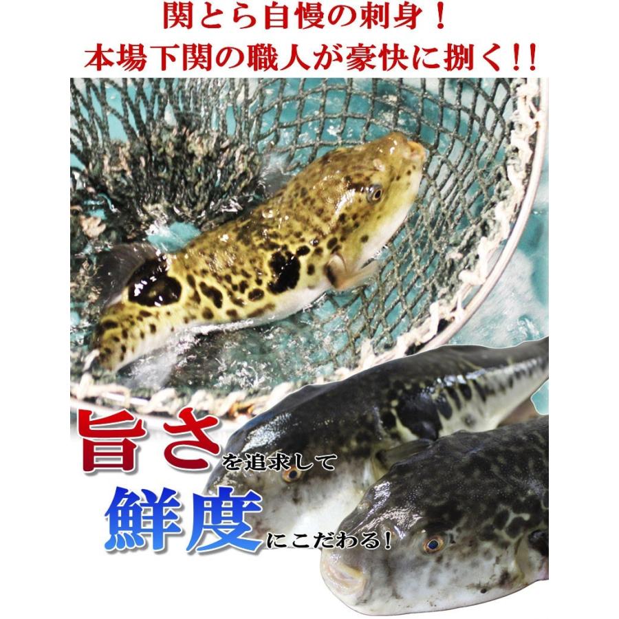 ふぐ ギフト ギフト 父の日限定商品！とらふぐ刺身と地酒セット 3人前（関とらオリジナルギフトカード付き）