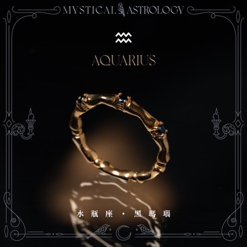 【神秘星象學：神話之戒】水瓶座｜黑瑪瑙925純銀厚鍍18k真金戒指 RMA011