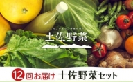 土佐野菜セット