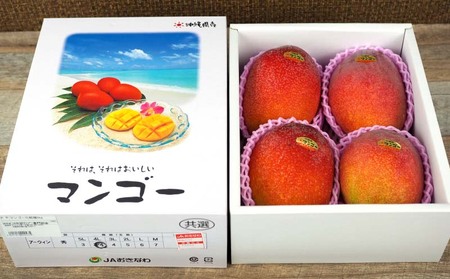 西原町　完熟マンゴー（大）約2kg　化粧箱入・秀品