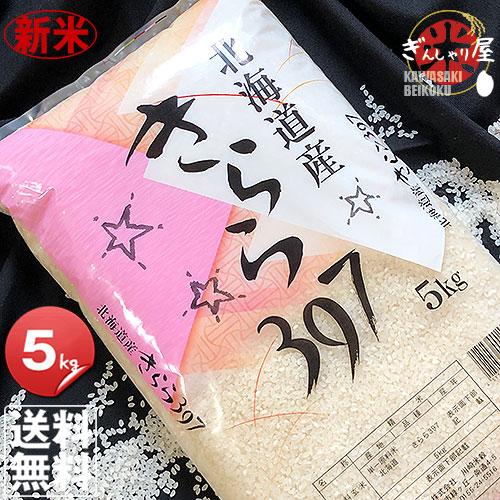 新米 米 5kg お米 きらら397 北海道産 白米 令和5年産 送料無料