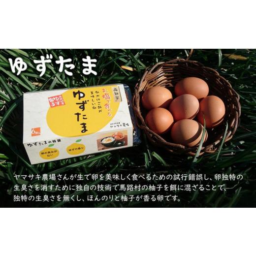 ふるさと納税 高知県 南国市 高知県産　南国土佐の季節野菜と卵（ゆずたま）の詰め合わせセット【新鮮野…