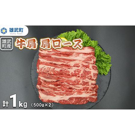 ふるさと納税 北海道雄武町産　牛肉セット（冷凍）(牛肩ロース肉500g×2) 北海道雄武町