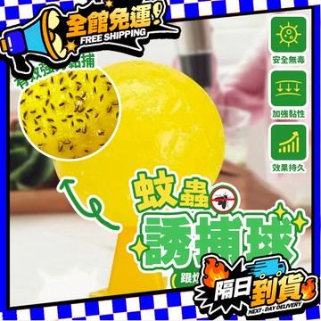 台灣現貨 誘蠅球 黏蒼蠅球 超黏捕蠅球 捕蠅球 捕蠅板 捕蠅器 黏蟲板 黏蠅板 蒼蠅貼 黏果蠅 蒼蠅【H526】