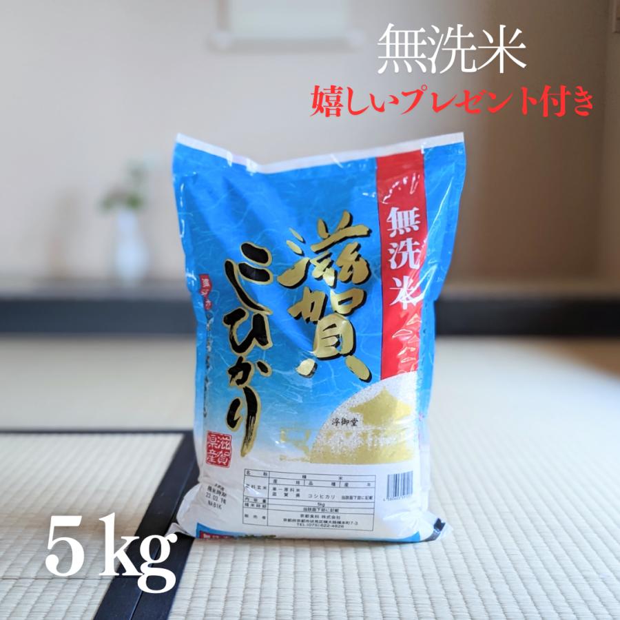 新米 令和5年産 お米 5kg 無洗米 滋賀県産 コシヒカリ 白米 5kg×1袋 近江米 簡単 時短 お弁当 おにぎり グルメ ギフト 熨斗無料 嬉しいプレゼント付き 送料無料