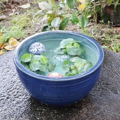 信楽焼 睡蓮鉢 メダカ鉢 おしゃれ めだか鉢 陶器 水鉢