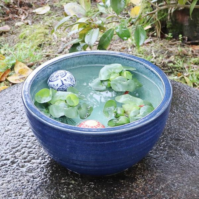 信楽焼 睡蓮鉢 メダカ鉢 おしゃれ めだか鉢 陶器 水鉢 ビオトープ