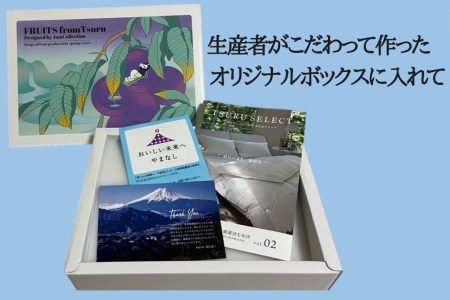 山梨県都留市産 朝採れ シャインマスカット ２~3房（約1.0kg）