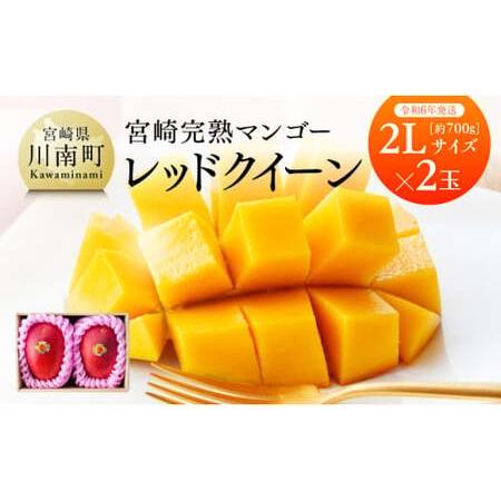 ふるさと納税  宮崎県産完熟マンゴー 「 レッドクイーン 」 2L×2玉 【 果物 フルーツ マンゴー 宮崎県産 完熟マンゴー .. 宮崎県川南町