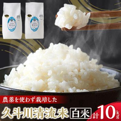 ふるさと納税 新温泉町 農薬を使わず栽培した「久斗川清流米」10kg(5kg×2)〜白米〜