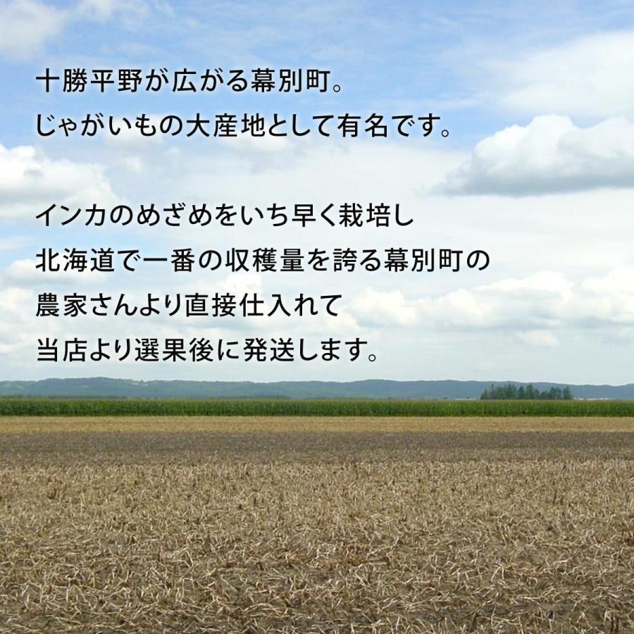 北海道 幕別町産 インカのめざめ玉ねぎ