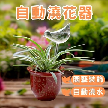 🔥台灣當天出貨🔥 懶人澆水器 小鳥澆花器 澆花神器 懶人澆花 動澆花器 可調節澆花器 自動澆水器