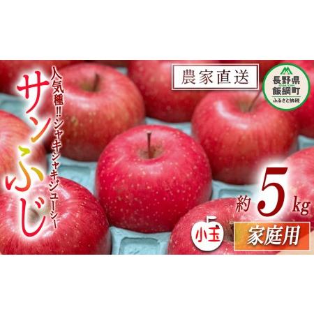 ふるさと納税 りんご サンふじ 家庭用 小玉 5kg 永野農園 沖縄県への配送不可 2023年12月中旬頃から2024年2月上旬頃まで順次発送予定 令和5.. 長野県飯綱町