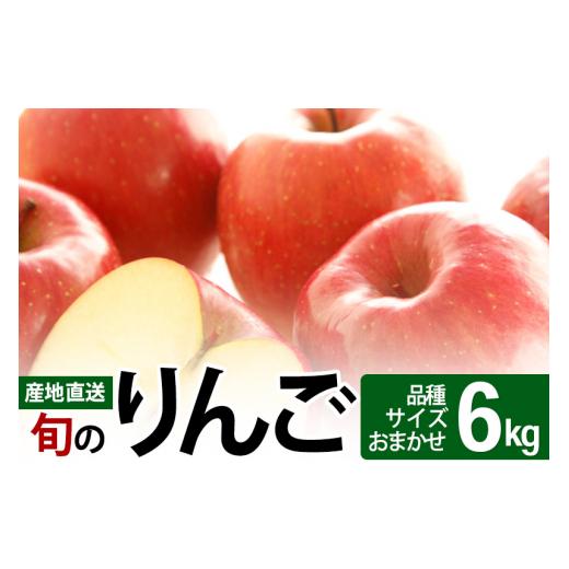 ふるさと納税 秋田県 三種町 《先行受付》旬のりんご 6kg (品種、サイズおまかせ) 令和5年産 (11〜12月頃発送) ご自宅向け 産地直送 リンゴ 林檎 フルーツ