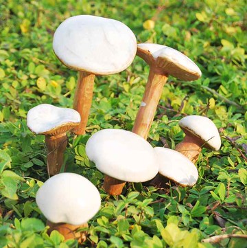 ！超逼真陶瓷蘑菇/靈芝 花園 園藝 別墅 新家 裝飾用品1入
