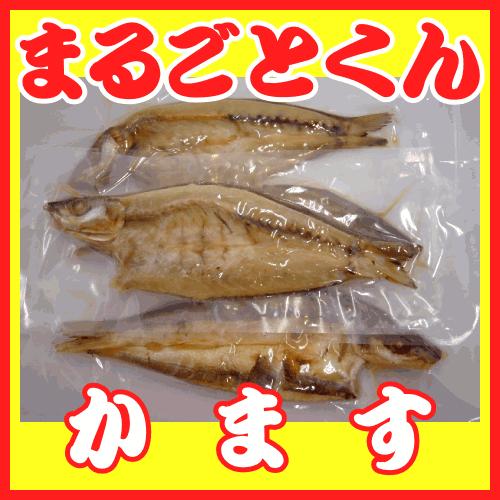 まるごとくん　カマスの干物（化粧袋無し）　1枚