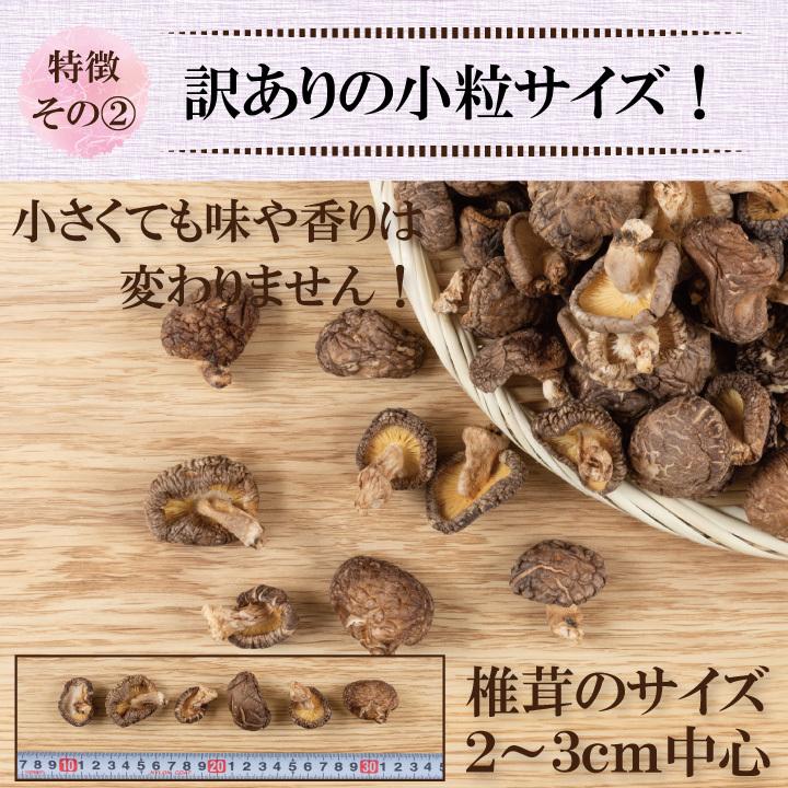 国内産訳あり小粒椎茸500ｇ　干し椎茸 国産 訳あり どんこ ワレ・カケあり 送料無料 最安値挑戦中