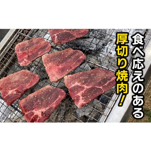 ふるさと納税 福岡県 糸島市 イノシシ 3種 焼肉セット（ 部位おまかせ ） 450g 2〜3人前 糸島市 ／ tracks [AUF005] ジビエ 猪