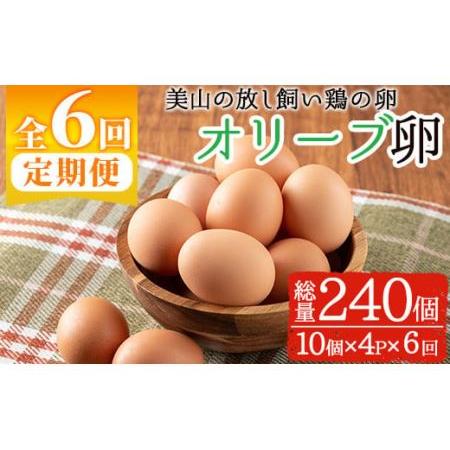 ふるさと納税 No.779 ＜定期便・全6回(連続)＞鹿児島県産美山オリーブ卵(10個×4P×6ヶ月連続) 鹿児島県日置市