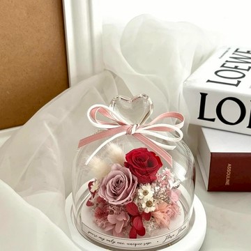 【Flora Flower】永生花愛心玻璃罩夜燈-紅粉(白底座暖光)