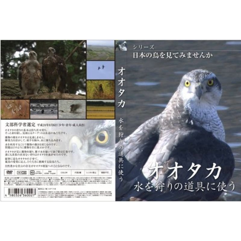 シリーズ日本の鳥を見てみませんか オオタカ 水を狩りの道具に使う DVD