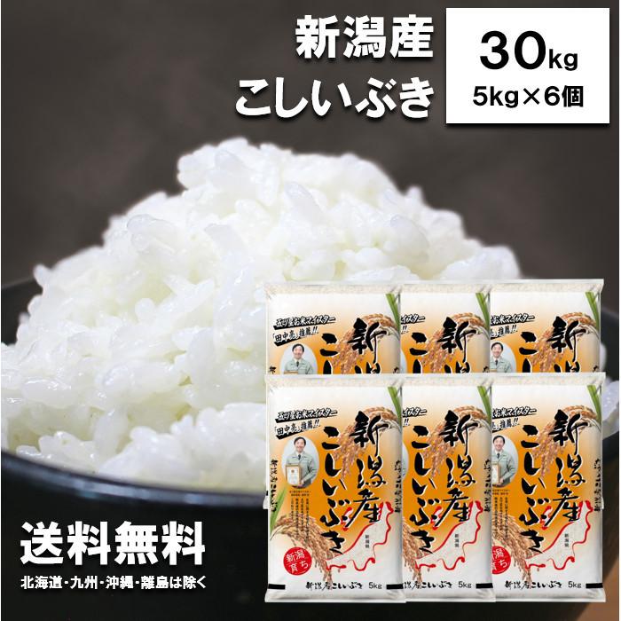 新米　田中米穀　新潟県産　こしいぶき　30kg　（5kg×6袋）　　新潟　新潟産　新潟米　白米　ご飯　令和5年度産