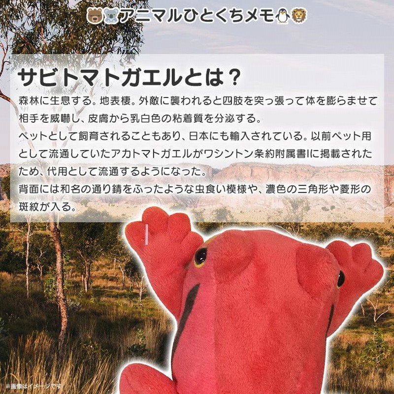 Amazon.co.jp: BoBo Style 九子蟾 蟾の王様 金蟾 財を集める